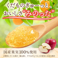 （6カ月頃から）国産くだものスムージー MINOTTA（ミノッタ） ふじりんご 1セット（1個（70g）×12） 離乳食 ピジョン