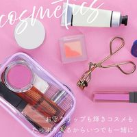 MOTTERU keptコラボガジェットーポーチ(127*56*83mm) ラテグレージュ MOT-ACCPCH01-GY 1個