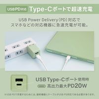 オウルテック PD20Wで超速充電可能 オーロラカラーのAC充電器 OWL-APD20A1C1R-AU 1個