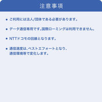 インターネットイニシアティブ IIJモバイルサービス/タイプD for IIJmio Biz プリペイドSIM IM-B420 1枚