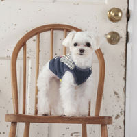 Dulce Dog（ドゥルチェドッグ）ジャンキーフードトレーナー S ネイビー 1個 犬用 アルクロース