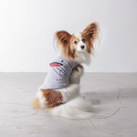 Dulce Dog（ドゥルチェドッグ）おばけタンク M グレー 1個 犬用 アルクロース