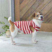 【アウトレット】Jekyll Egg（ジキルエッグ）ボーダータンク S レッド 1個 犬用 アルクロース