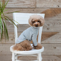 Jekyll Egg（ジキルエッグ）ボーダーロング袖 S グレー 1個 犬用 アルクロース