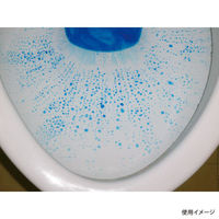 大一産業 住居用洗剤 ファースト防汚コート 4L 00691045 1ケース(1点×4))（直送品）