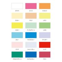 ベルベ ラッピング用品 19060 パレットカラー 3PA キャロット 3枚入 00769871 1ケース(1点×10))（直送品）