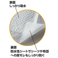 アーテック 【介護/医療】清拭 使い捨て防水シーツ 10枚組 051872 1ケース(1点×16))（直送品）