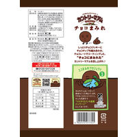 クッキー 個包装 お配り菓子 カントリーマアム　チョコまみれミドルパック　122g 1セット（1個×6）