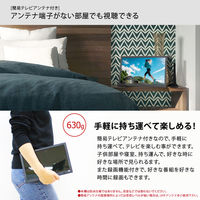 ダイアモンドヘッド 10.1インチポータブルテレビ&マルチプレーヤー APT-101FP 1台（直送品）