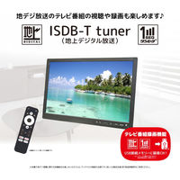 ダイアモンドヘッド 19型液晶地デジチューナー搭載androidスマートTV OT-PST19AK 1台