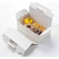 シモジマ エコパームBOX キャリーL 004247823 1束(20枚)