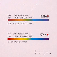 大直 大礼紙 ピンク A4 206040404 1パック(20枚)