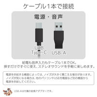 エレコム パソコン用スピーカー USB接続 4.4W 黒 SP-P10CUSBBK 1個