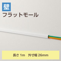 エレコム 配線カバー 壁用 モール ( 長さ1m × 幅26mm ) フラット ホワイト LD-GAF3MWH 1個（直送品）