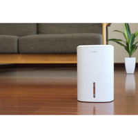 ドリテック コンパクト除湿機 ロワン JY-102WT 1個