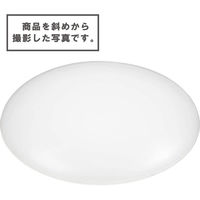 日本紐釦貿易 プラスチック製 ツツミボタン くるみボタン φ40mm 50個入 CGP40 1袋50個入(2袋、合計10（直送品）