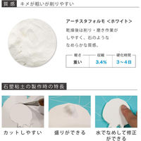 パジコ アーチスタフォルモ 500g ホワイト PDC2105 1セット(3個)