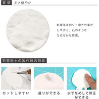 パジコ 石塑粘土 ラドールプレミックス 400g 日本製 PDC303130 1セット(1個×3)