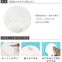 パジコ 石塑粘土 ラドールプルミエ 300g 日本製 303135 PDC3135 1セット(3個)