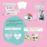 パジコ レジン道具 ホワイトマットシール 日本製 透明 PDC403355 1セット(1個×5)