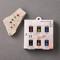 パジコ レジン専用着色剤 宝石の雫バースストーンカラーセット[7-12] 日本製 PDC403377 1セット(1袋×2)