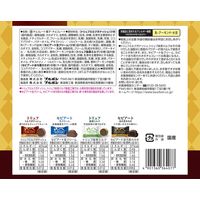 チョコレート トリュフ＆セピアート 95g 1セット（1個×6）