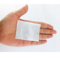 からだに貼る熱さまシート 冷却シート 冷感ツブ配合 1箱（14枚入） 小林製薬