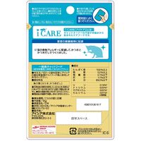 i CARE（アイケア）食物アレルギーケア かつおスープ 国産 35g 1セット（1袋×12）アイシア キャットフード