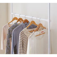 平安伸銅工業 突ぱり収納ハンガーラック WH TNP-5 1個（直送品）