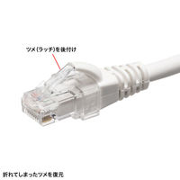 サンワサプライ RJ-45プラグSOS ADT-RJ45SOS-10CL 1個