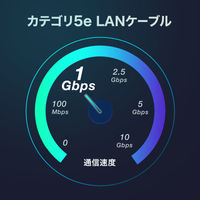 サンワサプライ  カテゴリ5eSTP LANケーブル（スリム、やわらか、ツメ折れ防止コネクタ） KB-SL5STPS-005BL（直送品）