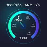 サンワサプライ  カテゴリ5eSTP LANケーブル（スリム、やわらか、ツメ折れ防止コネクタ） KB-SL5STPS-10W（直送品）