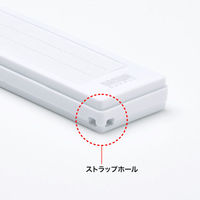 サンワサプライ USB2.0 メモリ UFD-RNS16GWN 1個