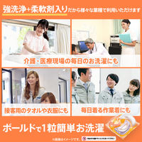 ボールド ジェルボール4D シトラス&ヴァーベナ 詰め替え テラジャンボ 1個（97粒入） 洗濯洗剤 P＆G【82粒→97粒へリニューアル】【旧品】