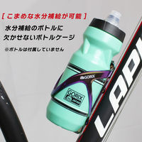GORIX GX-BCP 樹脂ボトルケージ オイルスリック 43313 1個（直送品）