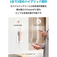 Anker 511 PowerBank（PowerCoreFusion5000）