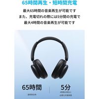 Soundcore Space Q45