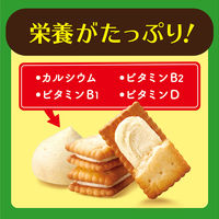 ビスケット クリームサンドクッキー 個包装 お配り菓子 ビスコ 焼きりんご 5枚×3パック入 1セット(1箱×10) 江崎グリコ
