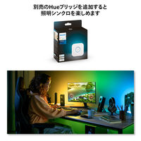 Signify Play グラデーションライトリボン PC 32-34インチ専用 PHPC32 1セット(3箱)（直送品）