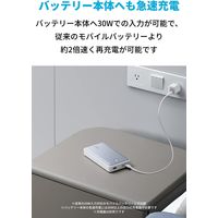 モバイルバッテリー Anker 537 Power Bank (PowerCore 24000) A1379021 1個