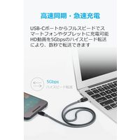 Anker PowerLine+ USB-C & USB-A ケーブル 1.8m