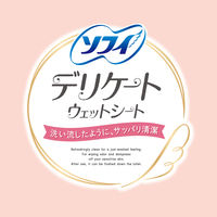 ソフイ デリケートウェット トイレに流せる フローラルの香り 1セット（1パック（10枚×2コ入）×24）ユニ・チャーム