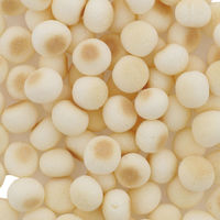 ママラブパピー ボーロ 無添加 国産 45g 1セット（1袋×3）ペティオ 犬用 おやつ