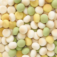 ペティオ おいしくスリム 砂糖・脂肪分ダブルゼロ カリカリボーロ 野菜入りMix 国産 45g 3袋 犬用 おやつ