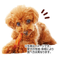 ペティオ かわいくたべちゃう！ササミ 無添加 22本入（11本×2袋）1袋 犬用 おやつ