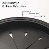 貝印 排水口 菊割ゴム ニュークックデイ DF1486 1個