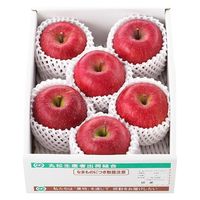 丸松青果 2024【御歳暮】のし付き いずみ会の山形県産サンふじ[2kg] 13252041 1箱（直送品）