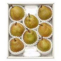 丸松青果 2024【御歳暮】のし付き いずみ会の山形県産ラ・フランス[2.5kg] 13202021 1箱（直送品）