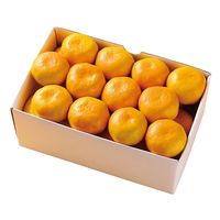 フルーツワールド 2024【御歳暮】のし付き 愛媛みかん[3kg] fw-em3kg 1箱（直送品）