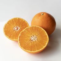 アデリー 2024【御歳暮】のし付き 愛媛県産 紅まどんな BENI-F0 1箱（直送品）